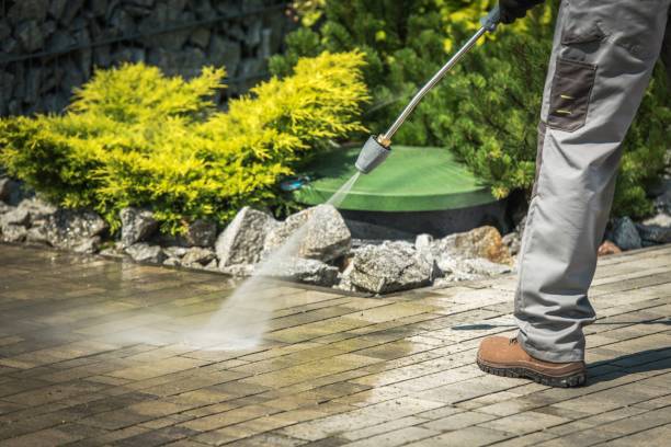 Best Solar Panel Cleaning  in Aurora, MN